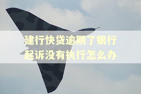 建行快贷逾期了银行起诉没有执行怎么办