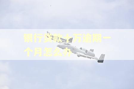 银行贷款十万逾期一个月怎么办