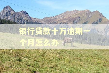银行贷款十万逾期一个月怎么办