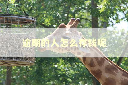 逾期的人怎么存钱呢