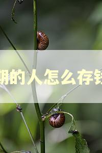 逾期的人怎么存钱呢