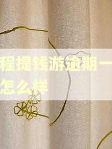 同程提钱游逾期一天会怎么样