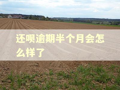 还呗逾期半个月会怎么样了