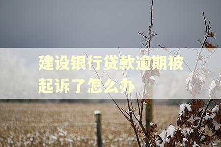 建设银行贷款逾期被起诉了怎么办