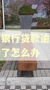 建设银行贷款逾期被起诉了怎么办