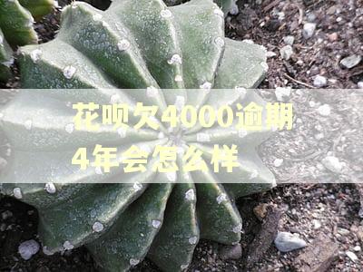 花呗欠4000逾期4年会怎么样