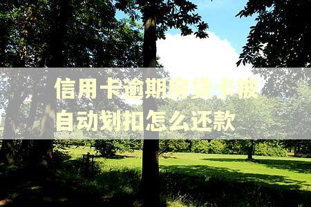 信用卡逾期房贷卡被自动划扣怎么还款