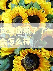 借贷宝逾期了了一年多会怎么样