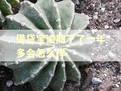 借贷宝逾期了了一年多会怎么样 借贷宝逾期了了一年多会怎么样