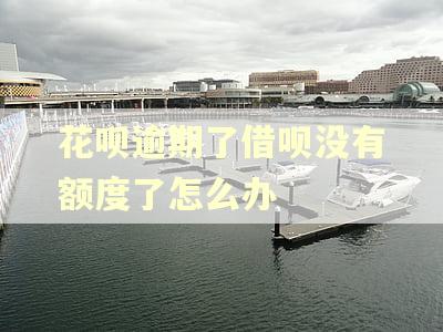 花呗逾期了借呗没有额度了怎么办 花呗逾期了借呗没有额度了怎么办