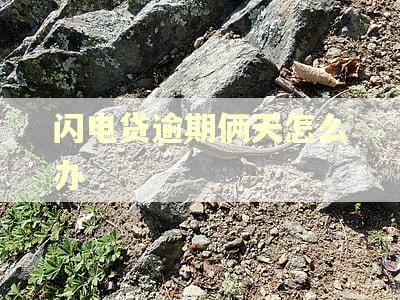 闪电贷逾期俩天怎么办