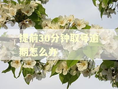 提前30分钟取号逾期怎么办