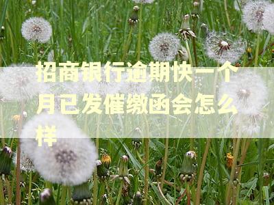 招商银行逾期快一个月已发催缴函会怎么样