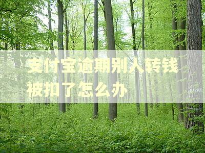 支付宝逾期别人转钱被扣了怎么办