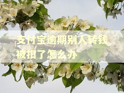 支付宝逾期别人转钱被扣了怎么办