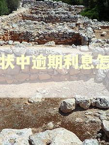 诉状中逾期利息怎么写