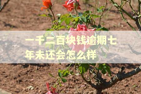 一千二百块钱逾期七年未还会怎么样