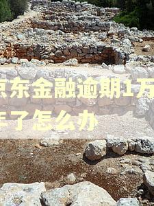 京东金融逾期1万1年了怎么办