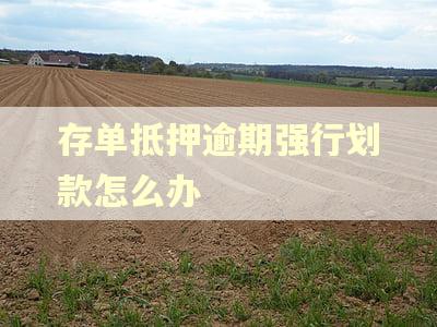 存单抵押逾期强行划款怎么办