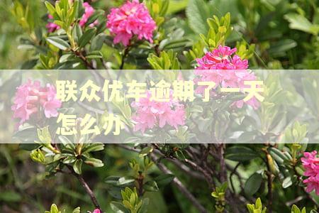 联众优车逾期了一天怎么办