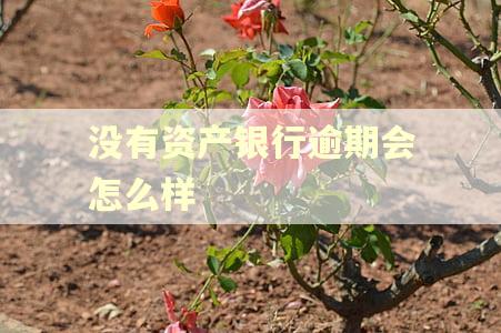 没有资产银行逾期会怎么样