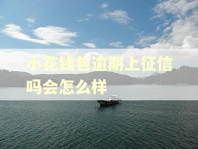 小花钱包逾期上征信吗会怎么样