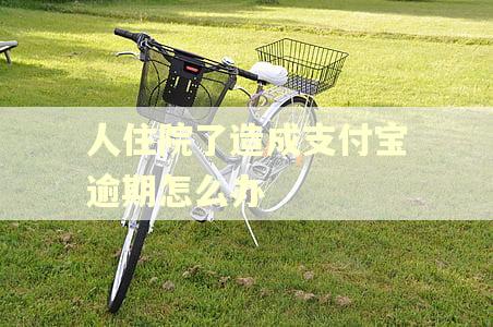 人住院了造成支付宝逾期怎么办