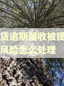 网贷逾期催收被提升高风险怎么处理