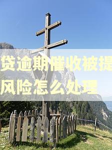 网贷逾期催收被提升高风险怎么处理