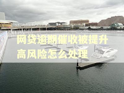 网贷逾期催收被提升高风险怎么处理