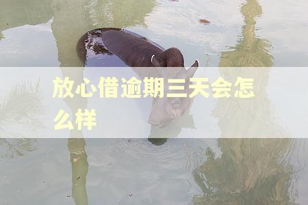 放心借逾期三天会怎么样