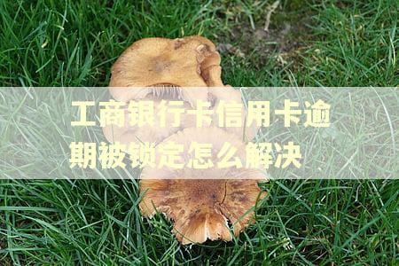 工商银行卡信用卡逾期被锁定怎么解决
