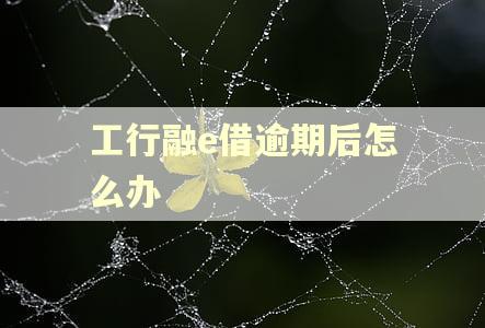 工行融e借逾期后怎么办