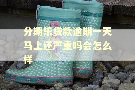 分期乐贷款逾期一天马上还严重吗会怎么样