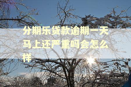 分期乐贷款逾期一天马上还严重吗会怎么样 分期乐贷款逾期一天马上还严重吗会怎么样