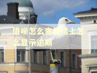 借呗怎么查征信上怎么显示逾期