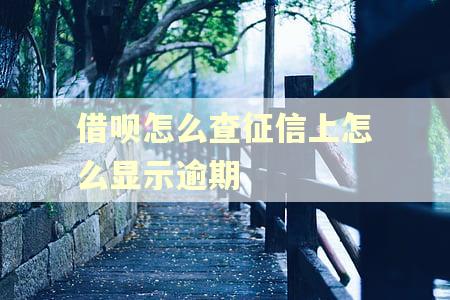 借呗怎么查征信上怎么显示逾期