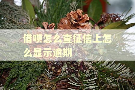 借呗怎么查征信上怎么显示逾期