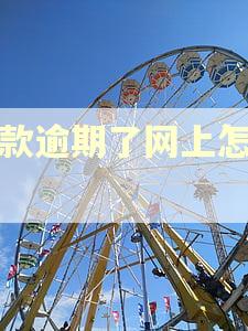 税款逾期了网上怎么缴