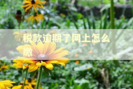 税款逾期了网上怎么缴