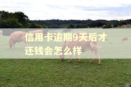 信用卡逾期9天后才还钱会怎么样