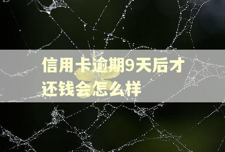 信用卡逾期9天后才还钱会怎么样