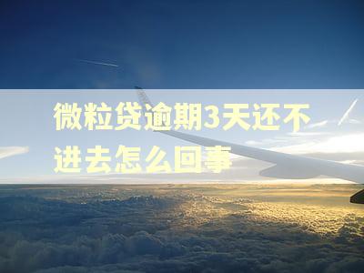 微粒贷逾期3天还不进去怎么回事