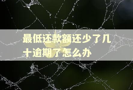 最低还款额还少了几十逾期了怎么办 最低还款额还少了几十逾期了怎么办