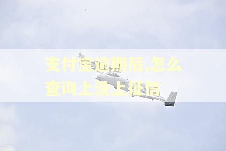 支付宝逾期后,怎么查询上没上征信