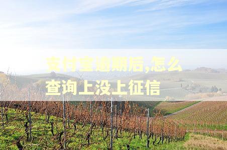 支付宝逾期后,怎么查询上没上征信