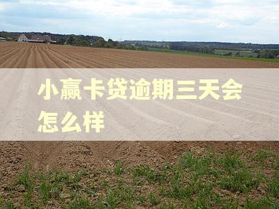 小赢卡贷逾期三天会怎么样