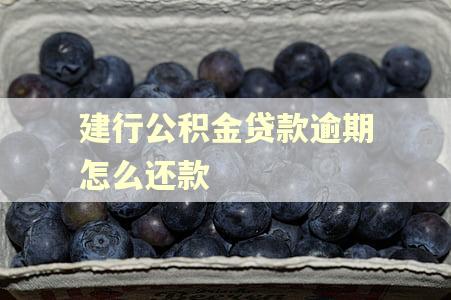 建行公积金贷款逾期怎么还款