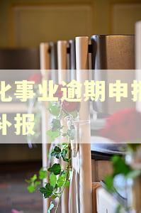 文化事业逾期申报怎么补报