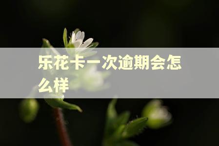 乐花卡一次逾期会怎么样
